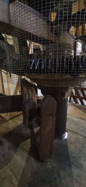 IMG_20240815_110639.jpeg (101.06 KiB) 1209-mal betrachtet IMG_20240815_110639.jpeg