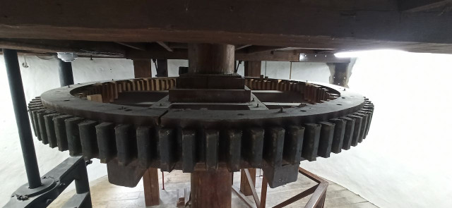 IMG_20240815_110444.jpeg (75.26 KiB) 1209-mal betrachtet IMG_20240815_110444.jpeg