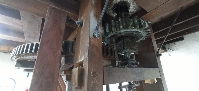 IMG_20240815_110213.jpeg (84.96 KiB) 1209-mal betrachtet IMG_20240815_110213.jpeg