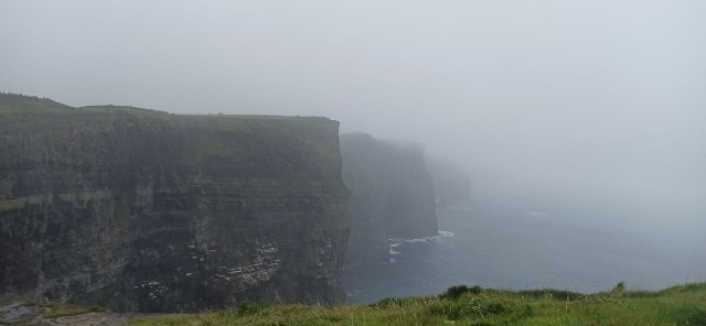 IMG_20240819_140612.jpeg