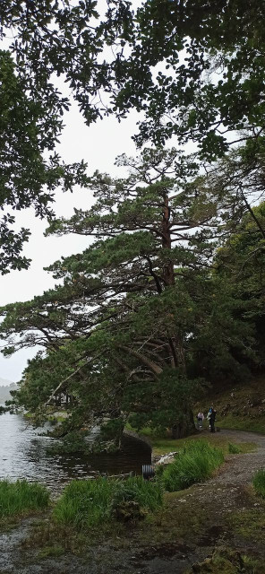 IMG_20240822_114854.jpeg