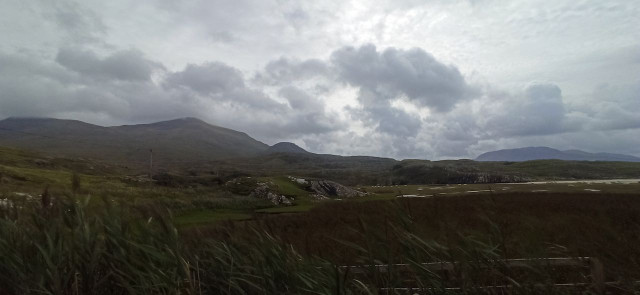 IMG_20240823_121628.jpeg
