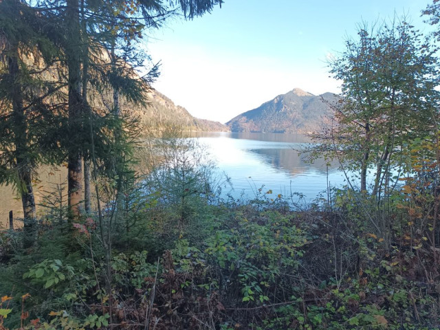 Imagepipe_193.jpg
