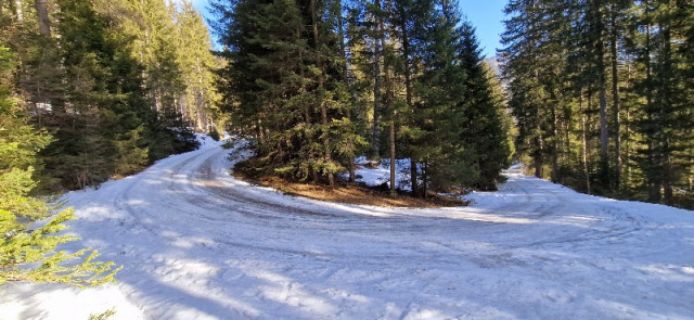 20250122_101722.jpg