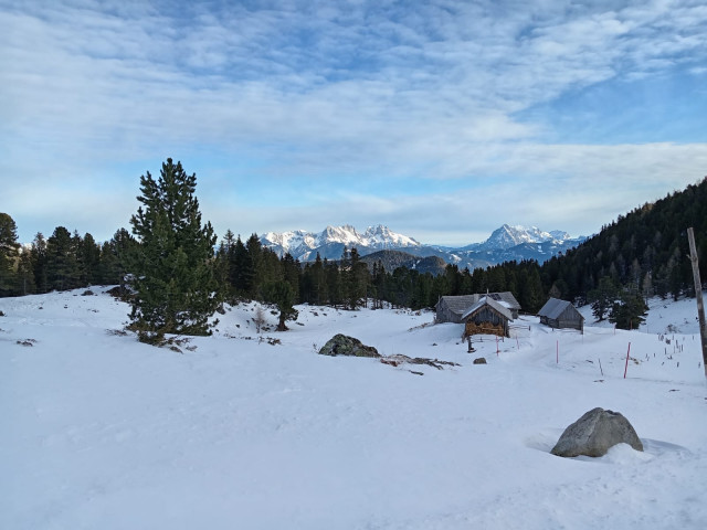 IMG-20250203-WA0009.jpg
