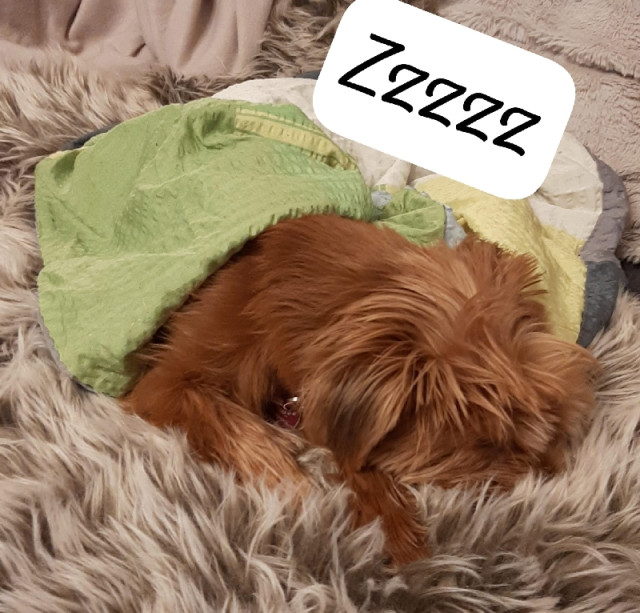 IMG-20250201-WA0034_VBE9B0Ja34.jpeg