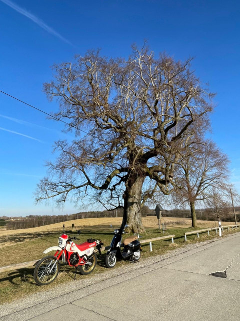 18 Volt-Ausfahrt.jpg