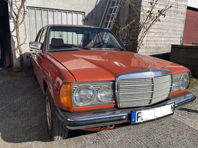 benz 240d W123.jpg