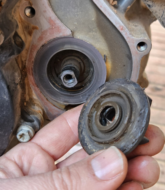 20250321_151528_copy_1024x1176.jpg (251.24 KiB) 3766-mal betrachtet 20250321_151528_copy_1024x1176.jpg