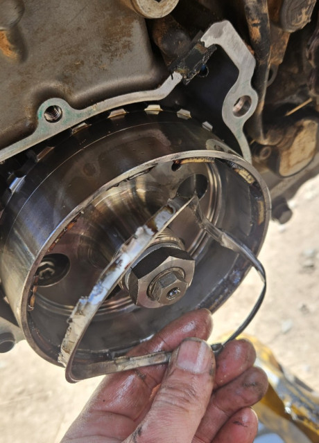 20250323_124538_copy_739x1029.jpg (170.26 KiB) 3788-mal betrachtet 20250323_124538_copy_739x1029.jpg