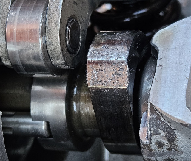 20250327_091948_copy_1280x1081.jpg (390.51 KiB) 3780-mal betrachtet 20250327_091948_copy_1280x1081.jpg