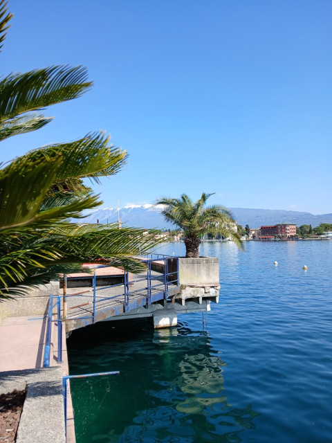 33576C69-E3EE-481B-824C-9E32910C8505_1_105_c.jpeg (231.81 KiB) 3398-mal betrachtet 33576C69-E3EE-481B-824C-9E32910C8505_1_105_c.jpeg