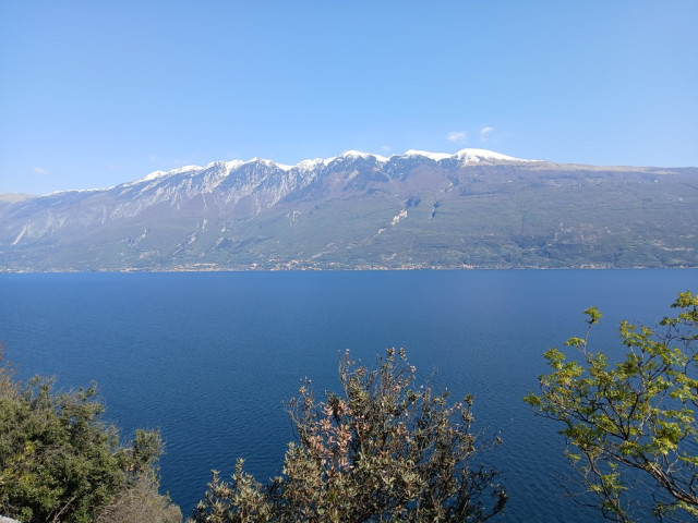 0BB8C770-B031-4CC9-A299-7B09000D7243_1_105_c.jpeg (246.3 KiB) 3398-mal betrachtet 0BB8C770-B031-4CC9-A299-7B09000D7243_1_105_c.jpeg