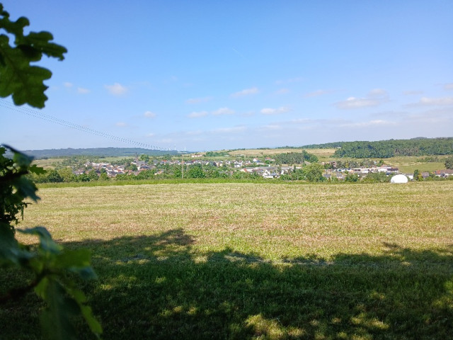 20250522_110202.jpg (205.27 KiB) 3177-mal betrachtet 20250522_110202.jpg