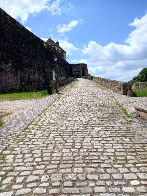 20250522_132811.jpg (295.84 KiB) 3147-mal betrachtet 20250522_132811.jpg