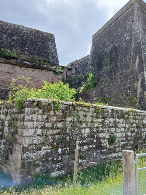 20250522_132955.jpg (305.76 KiB) 3105-mal betrachtet 20250522_132955.jpg