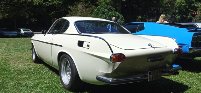 SAVE_20250629_160614.jpg (390.96 KiB) 2391-mal betrachtet SAVE_20250629_160614.jpg