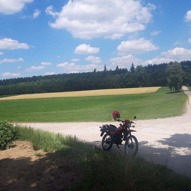 DT 80 Sommer1.jpg
