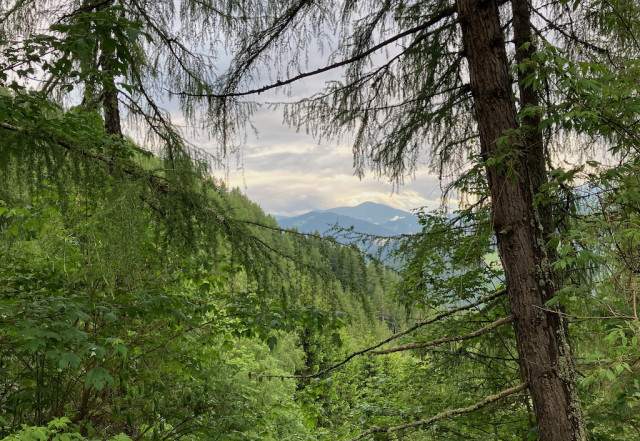 Landschaft_Thoeny (1).jpeg (1.06 MiB) 3838-mal betrachtet Landschaft_Thoeny (1).jpeg