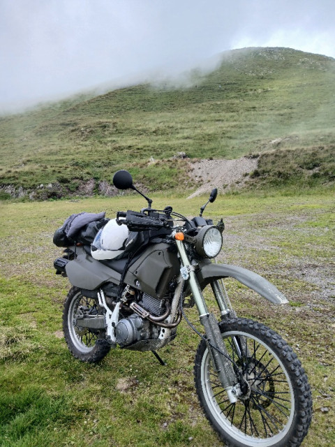 20250719_105947.jpg (282.61 KiB) 5228-mal betrachtet 20250719_105947.jpg