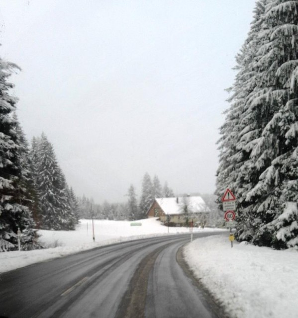 Strasse bei der Fuchsfalle.jpg