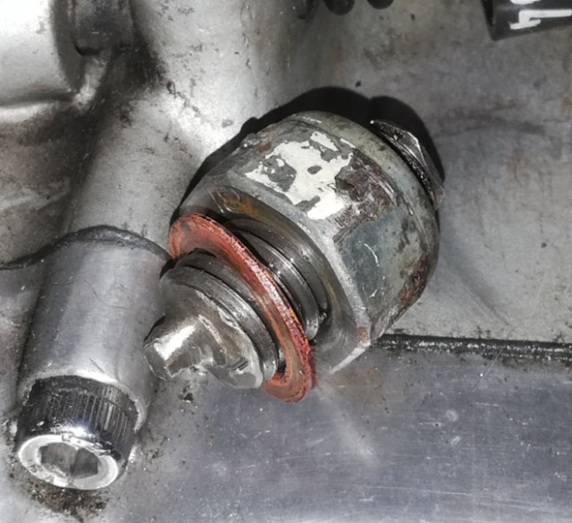 IMG_20250801_100449.jpg (165.98 KiB) 2239-mal betrachtet IMG_20250801_100449.jpg