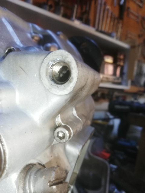 IMG_20250818_172317_copy_864x1152.jpg (127.07 KiB) 2440-mal betrachtet IMG_20250818_172317_copy_864x1152.jpg