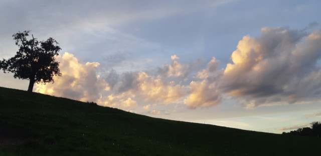 20250912_192639_copy_921x448.jpg