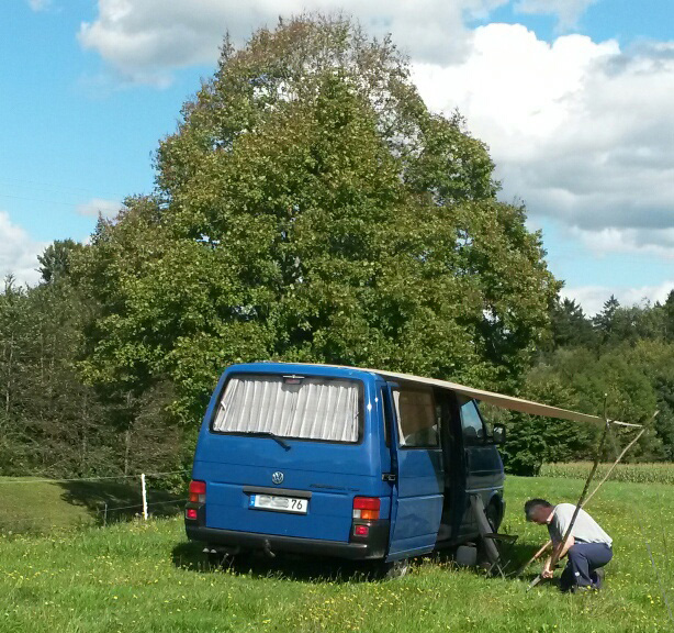 Montage der 2- und 3-gabeligen nachwachsenden Vordachstützen.jpg