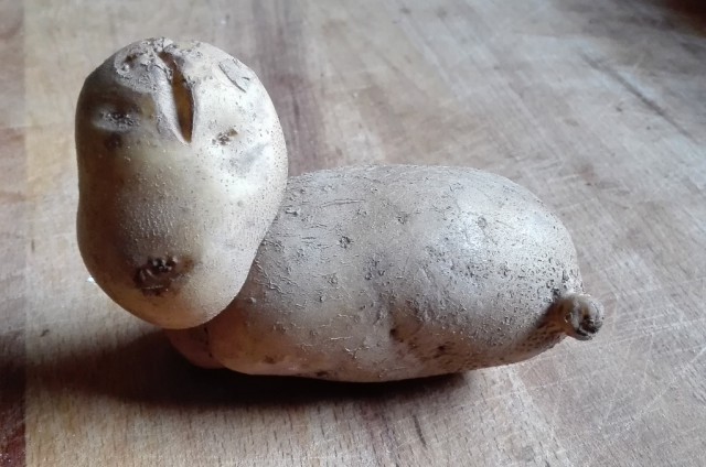 Töffelchen3.jpg