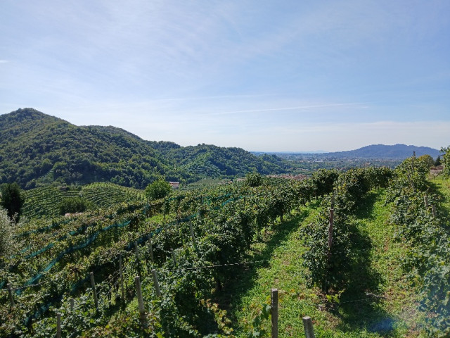 20250917_121334.jpg (261.46 KiB) 1528-mal betrachtet 20250917_121334.jpg