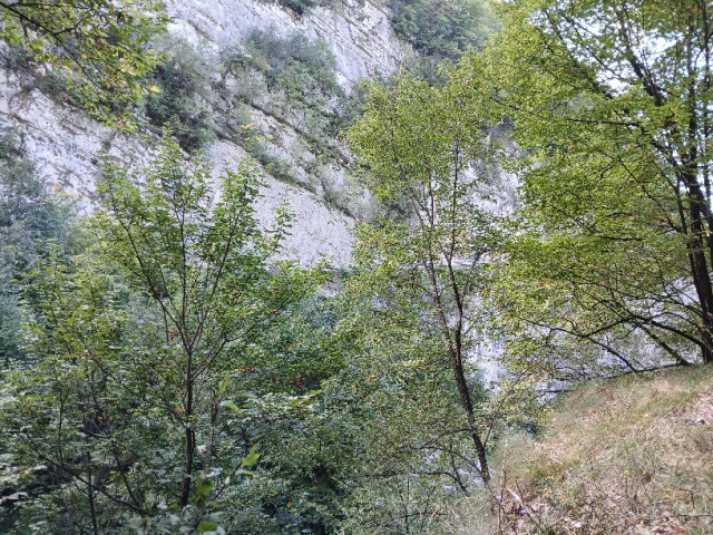 20250920_145940.jpg