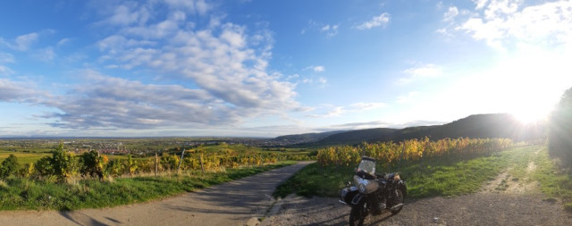 20251015_173102_copy_889x352.jpg