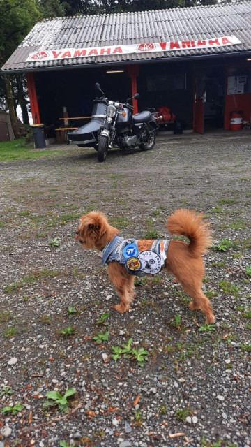 Wasserkuppe 2025-.jpg