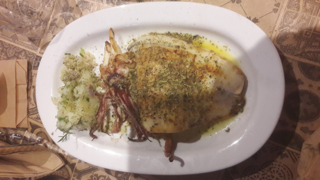 20250301_185350 (Benutzerdefiniert).jpg