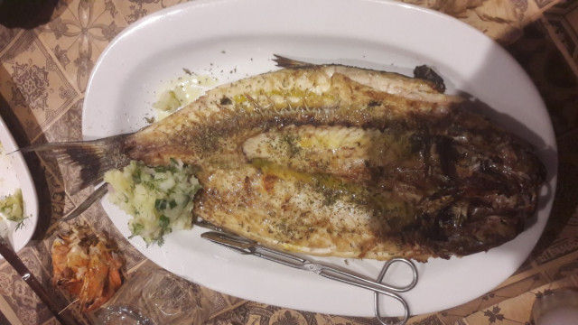 20250301_190058 (Benutzerdefiniert).jpg