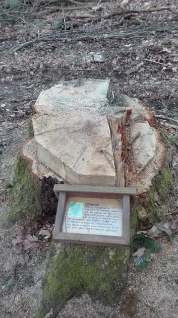 IMG_20160227_173814 (Copy).jpg