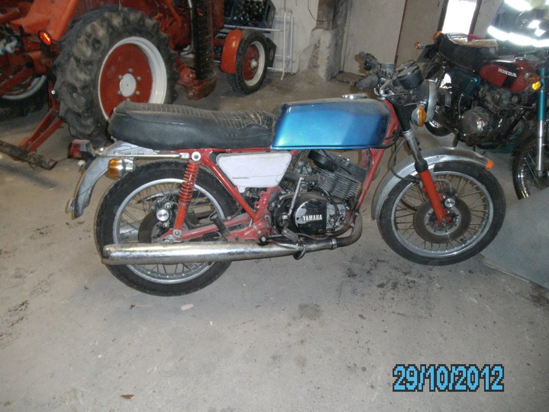 easythumpBlasi 658.JPG