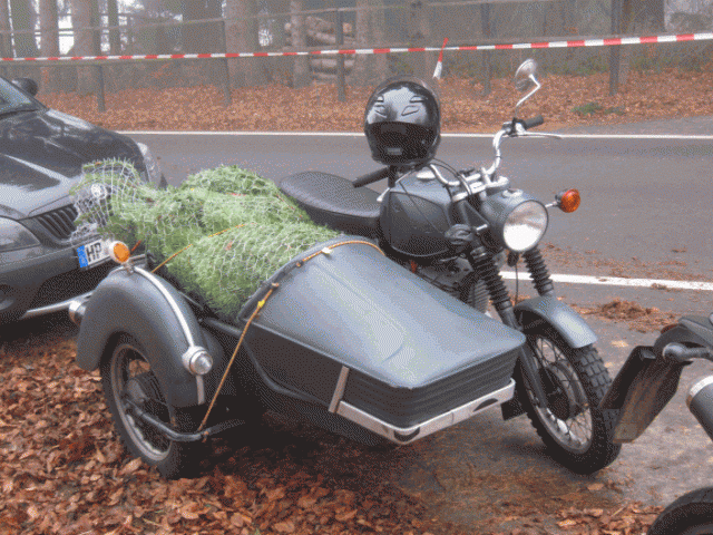 IMG_4572.GIF
