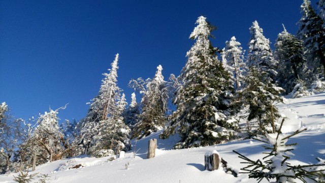 Gaisberg2a.jpg