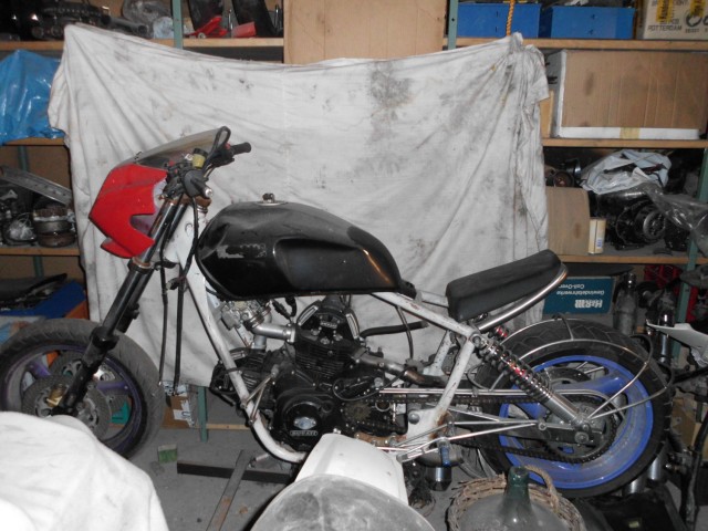 DSCI1356.jpg