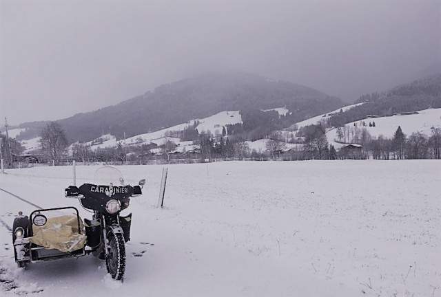 izh_11-2017-winkel stajohann2 (Medium).JPG