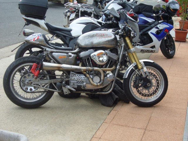Holein-Davidson1.jpg