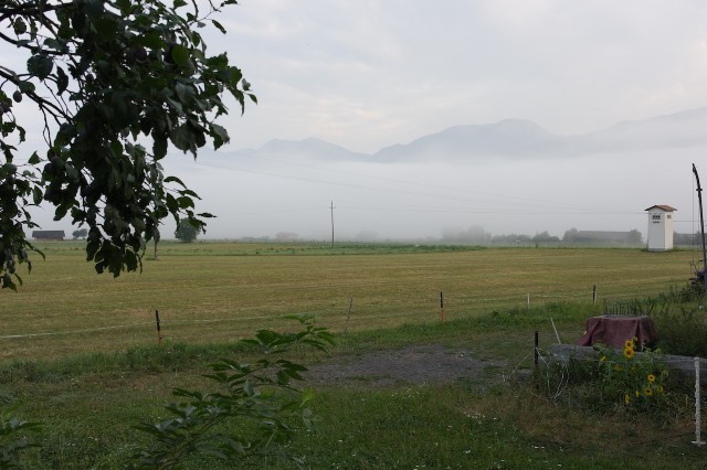 _8060889.jpg (599.98 KiB) 5984-mal betrachtet _8060889.jpg