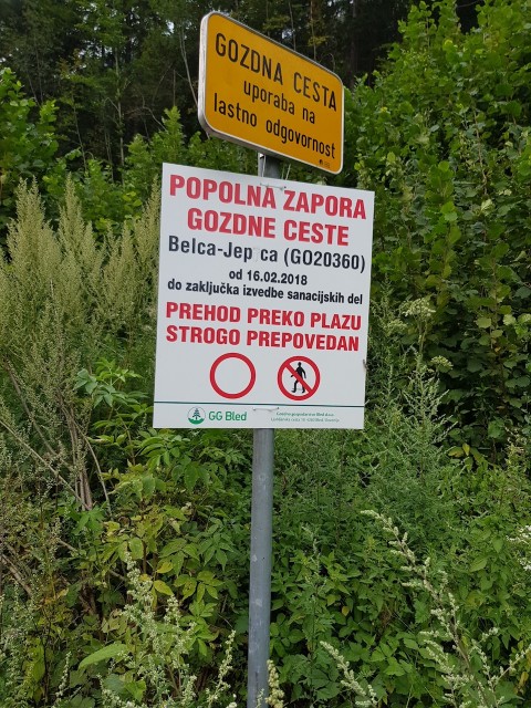 20180805_150319_resized.jpg (733.52 KiB) 5984-mal betrachtet 20180805_150319_resized.jpg