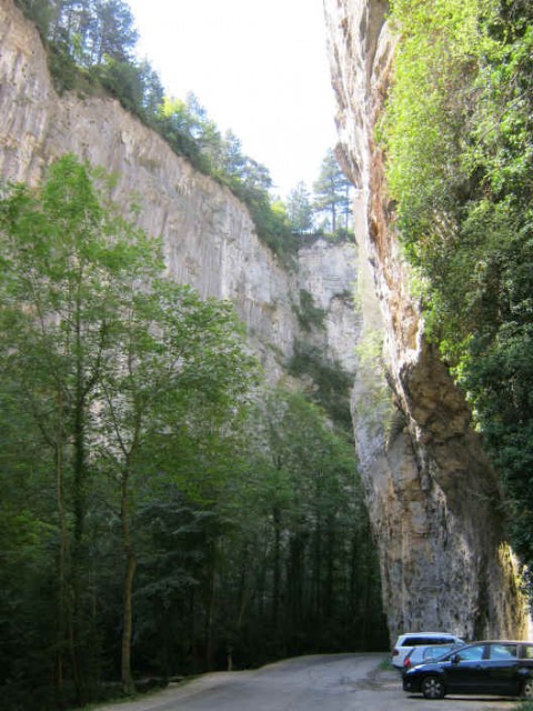 IMG_2923.JPG