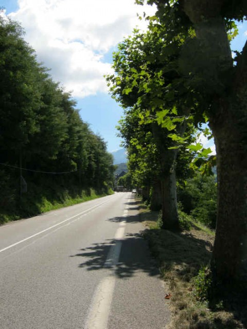 IMG_2966.JPG
