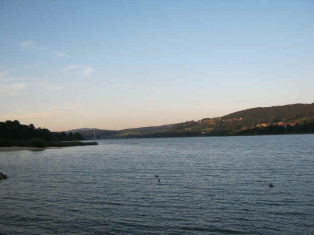 IMG_2979.JPG