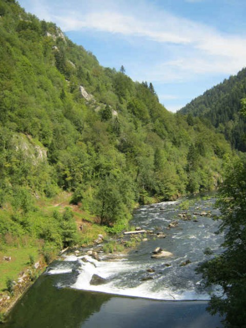 IMG_2988.JPG