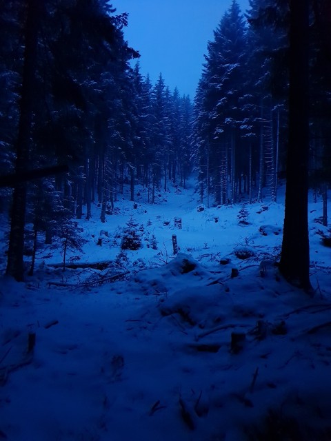 20181231_072907_resized.jpg (320.81 KiB) 5532-mal betrachtet 20181231_072907_resized.jpg